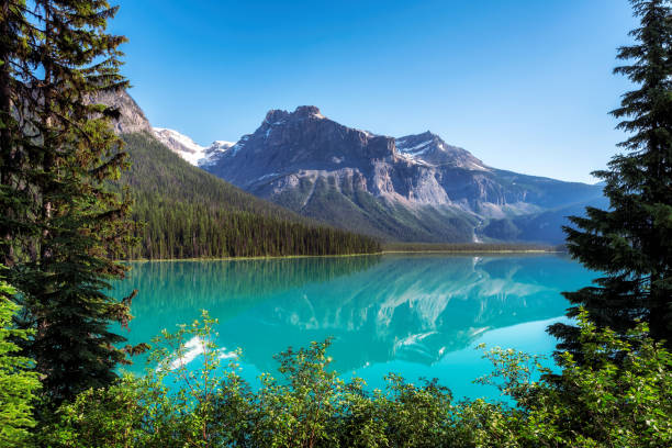 Emerald Lake in Rocky Mountains Beautiful turquoise waters of the Emerald Lake with snow-covered peaks above it in Rocky Mountains, Yoho National Park, Canada. yoho national park photos stock pictures, royalty-free photos & images