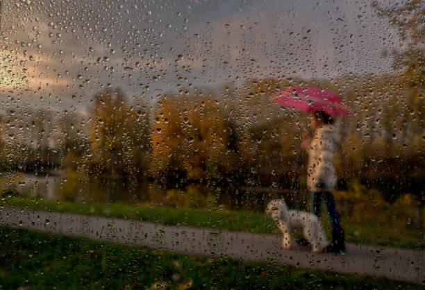 istock Girl with dog 873894508