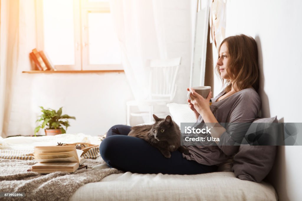 Young woman with a cat  lying in bed at home.  Winter or autumn weekend concept. Woman reading book and drinking tea in the bedroom. Domestic Cat Stock Photo
