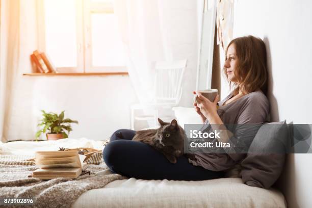 Young Woman With A Cat Lying In Bed At Home Winter Or Autumn Weekend Concept Woman Reading Book And Drinking Tea In The Bedroom Stock Photo - Download Image Now