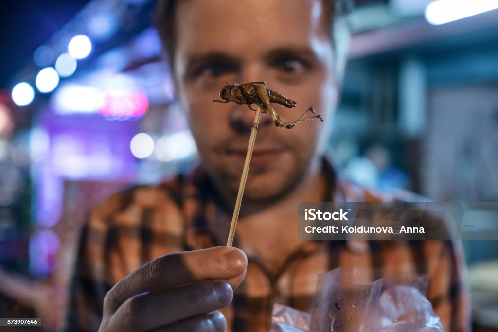 Caucasian young male eating cricket at night market in Thailand. Caucasian young male eating cricket at night market in Thailand. Eating insect concept Street Food Stock Photo