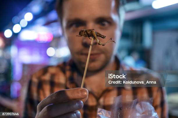 Caucasian Young Male Eating Cricket At Night Market In Thailand Stock Photo - Download Image Now