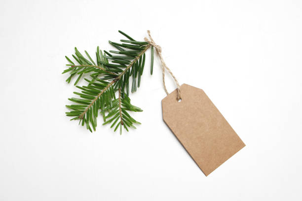 close-up of craft paper gift tag with rope and green fir branch isolated on white background. christmas composition, top view - fir branch imagens e fotografias de stock