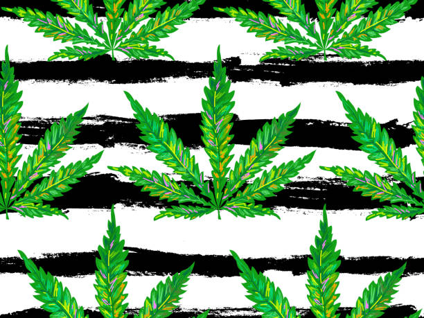 marihuana. cannabis blatt musterdesign. florale muster von marihuana und cannabis blätter design vektor-hintergrund. perfekt für tapeten, füllmuster, hintergrund webseite, oberflächenbeschaffenheit, textil - psychedelic smoke colors green stock-grafiken, -clipart, -cartoons und -symbole