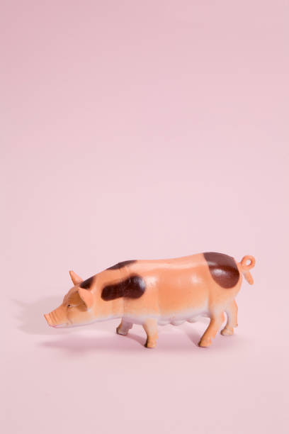 istock pig plastic figurine pink background 873912136