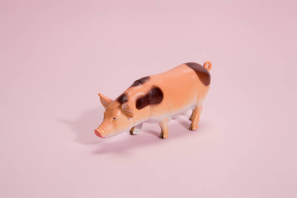 istock pig plastic figurine pink background 873912144