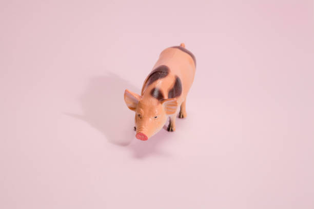 istock pig plastic figurine pink background 873912172
