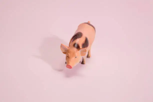 Photo of pig plastic figurine pink background