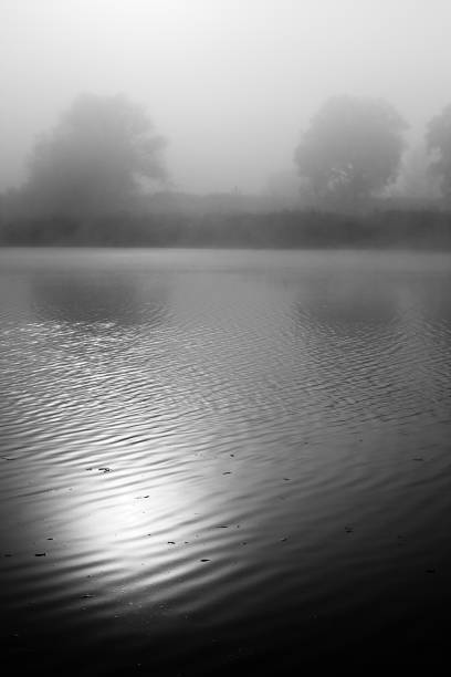 istock Autumn mysterious landscape in black and white 873924242