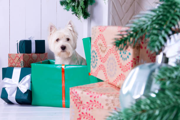 Dog as symbol of New Year
