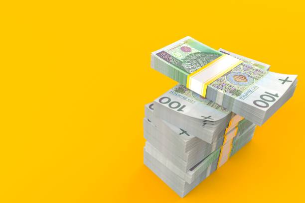 istock Polish zloty currency 873929196