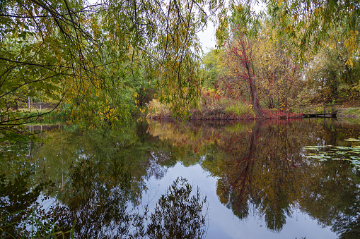 Autumn Park. Trees reflected in the water of the lake in the park
