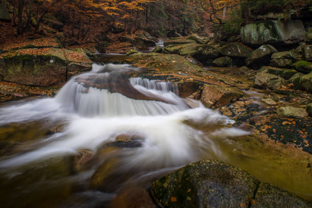 istock Autumn yellow forest and stone river stream. 873938094