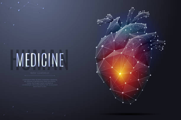 human heart low poly color Vector isolated heart with pain center. Low poly wireframe and points. Polygonal 3D white human organ on dark background. Medicine concept with geometry triangle. Abstract heart pain mash line origami biomedical illustration stock illustrations