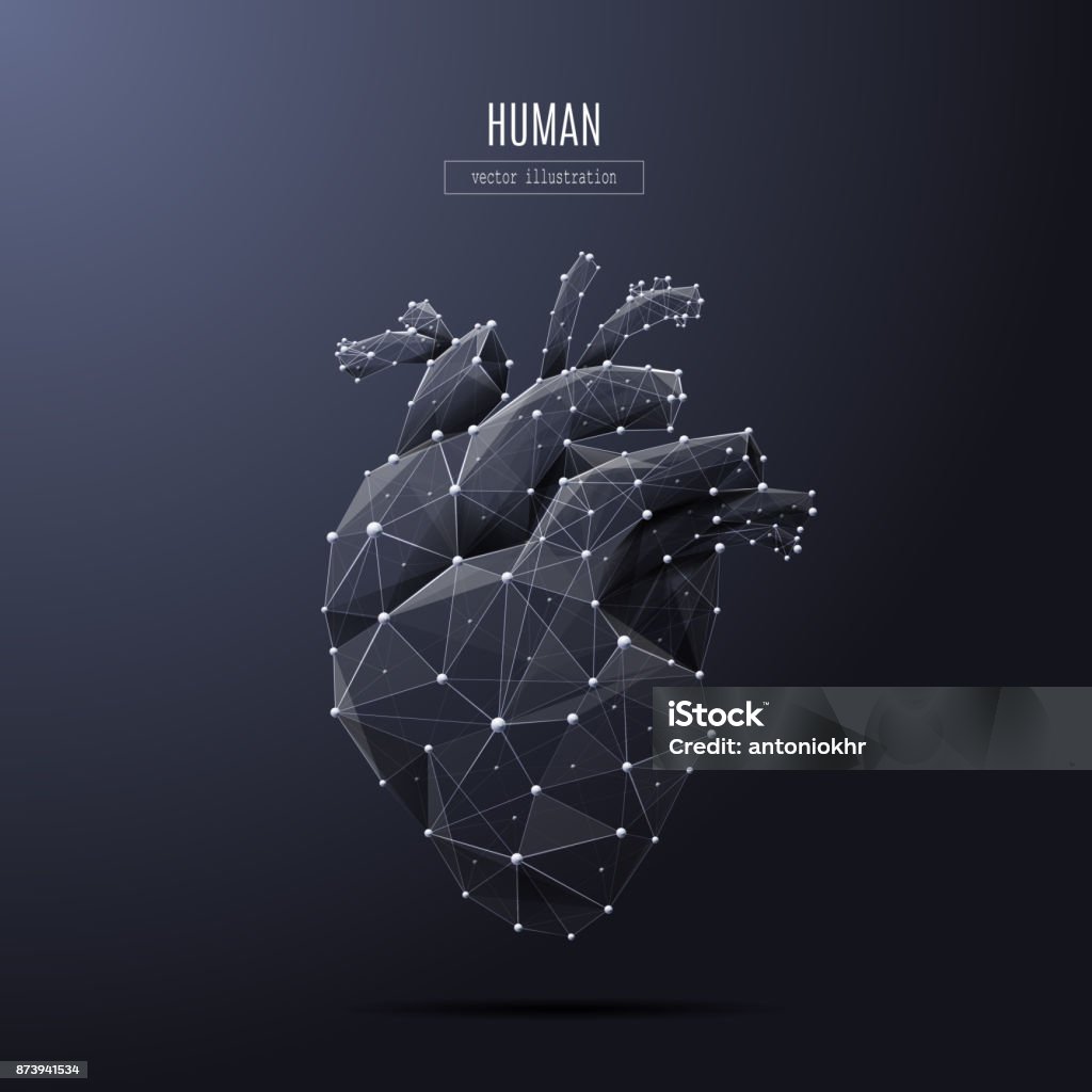 human heart low poly white Vector isolated heart low poly from metall wireframe and points. Polygonal 3D white human organ on dark background. Medicine concept with geometry triangle. Abstract mash line and point origami. Heart - Internal Organ stock vector