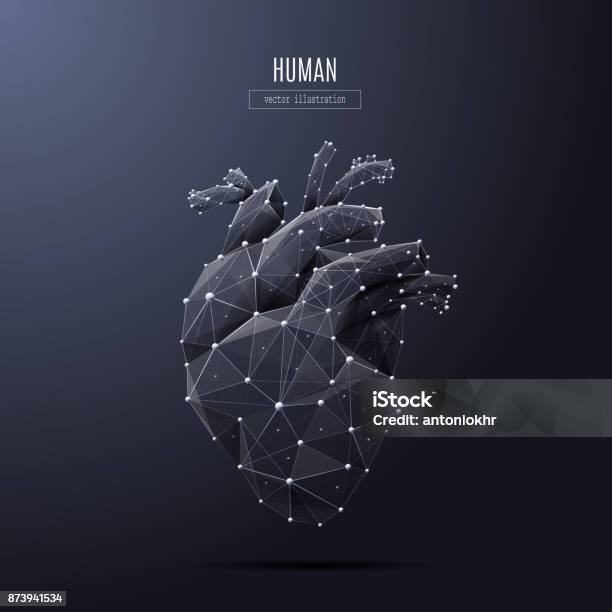 Human Heart Low Poly White Stock Illustration - Download Image Now - Heart - Internal Organ, Heart Shape, Human Heart