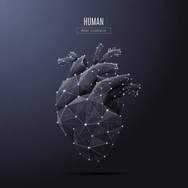 Vector illustration of human heart low poly white