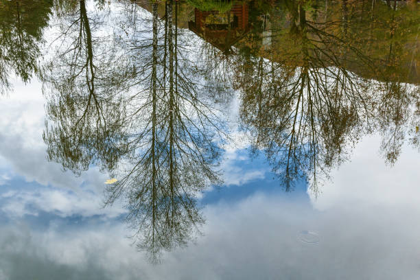 istock autumn landscape near the water 873941696