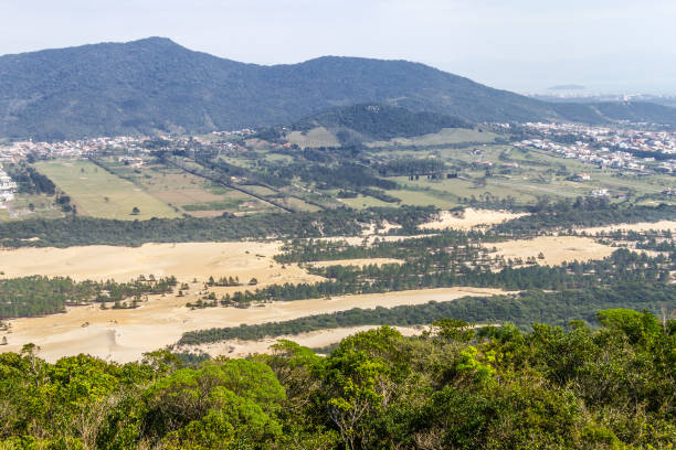 istock Costao do Santinho view, Mountain Spider 873942748