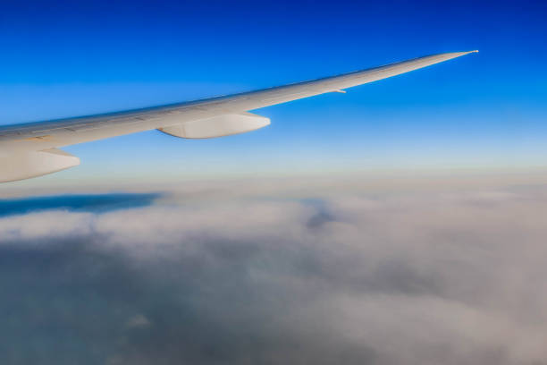 Aeroplane wings and clous