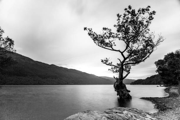 istock Panoramic Impression View of the Highlands in Scotland 873944034