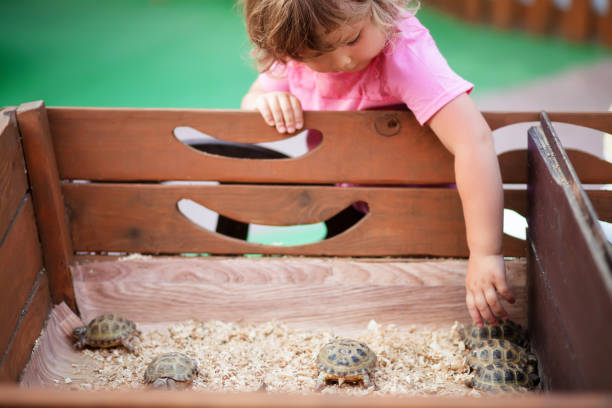 istock Contact zoo, turtles in kids hands. 873949552