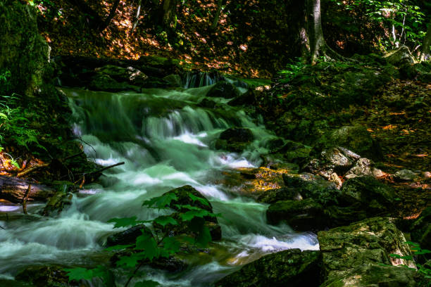 Gatineau Park Waterfalls stock photo