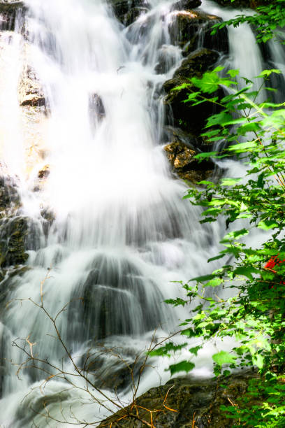 Gatineau Park Waterfalls stock photo