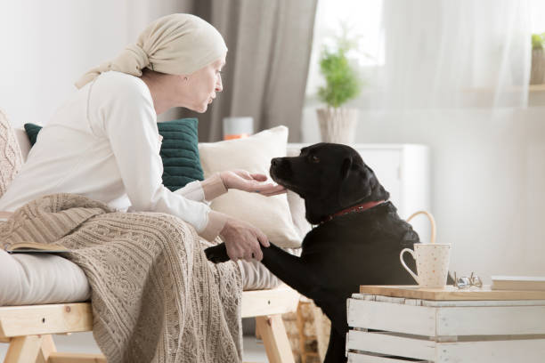 paziente tumorale accarezza il suo cane - cancer women womens issues friendship foto e immagini stock