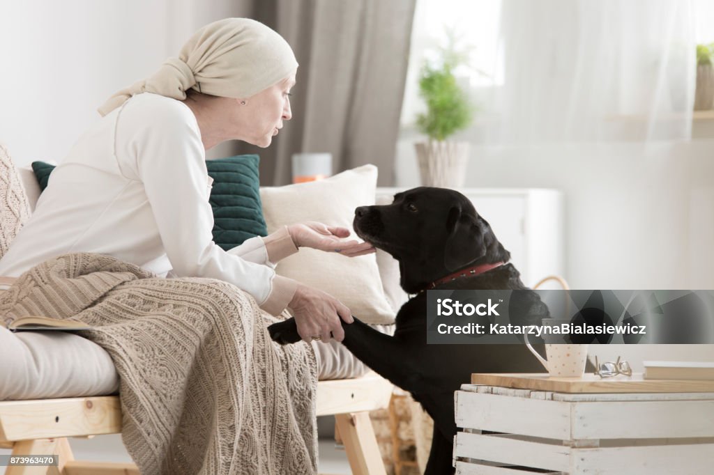 Tumor patient caressing her dog Tumor patient caressing her dog while on a pet therapy Cancer - Illness Stock Photo