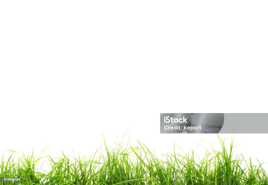 Frisches Grünes Gras Hintergrund - Lizenzfrei Freisteller – Neutraler Hintergrund Stock-Foto