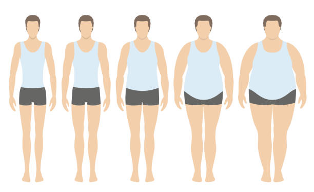 иллюстрация вектора индекса массы тела от недостаточного веса до крайне ожирения в плоском стиле. человек с разной степенью ожирения. - emaciated weight scale dieting overweight stock illustrations