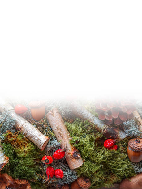 istock Forest decoration for Christmas 873969118