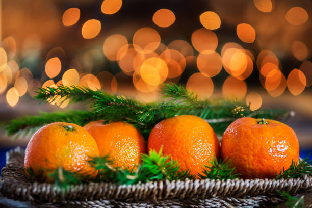 Fresh Clementines or Tangerines in the Basket on Brown Wooden Table with Xmas Lights and Tree Branches