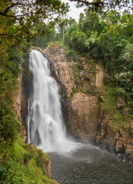 Beautiful Huge Waterfall in Tropical forest at Khao Yai National Park, Thailand stock photo
