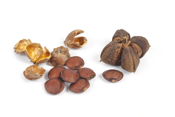 istock fresh and dry Inca peanut on white background 873972622