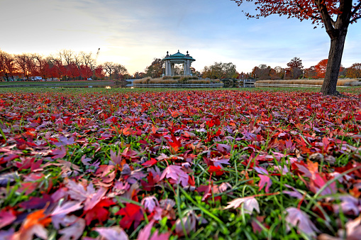 Fall foliage around the Forest Park bandstand in St. Louis, Missouri.