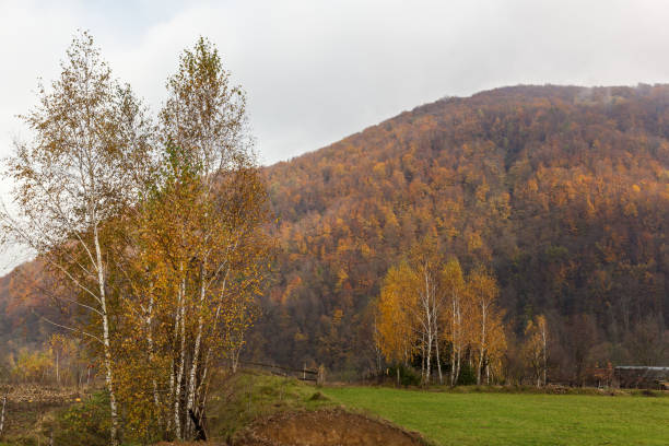 istock autumn landscape in the Carpathians 873977218