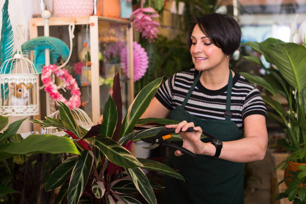 istock Florist with tools in the gardening store 873978722