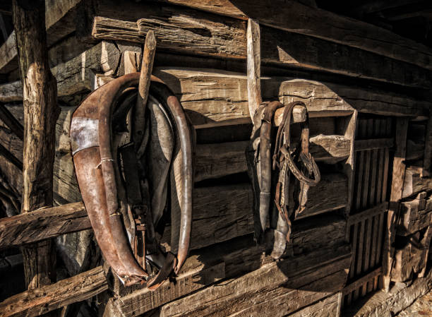 istock Antique Horse Tack 873988514