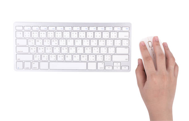 istock Woman working at home office hand on keyboard on white background 873996232