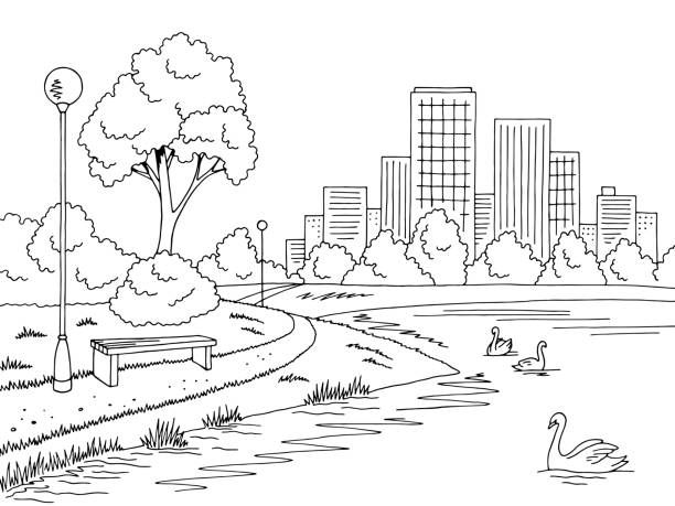 park jezioro grafika czarny biały krajobraz szkic ilustracji wektor - swan white grass park stock illustrations