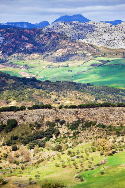 istock Andalucia Landscape in Spain 874007500