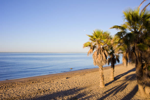 istock Marbella Beach on Costa del Sol in Spain 874011038