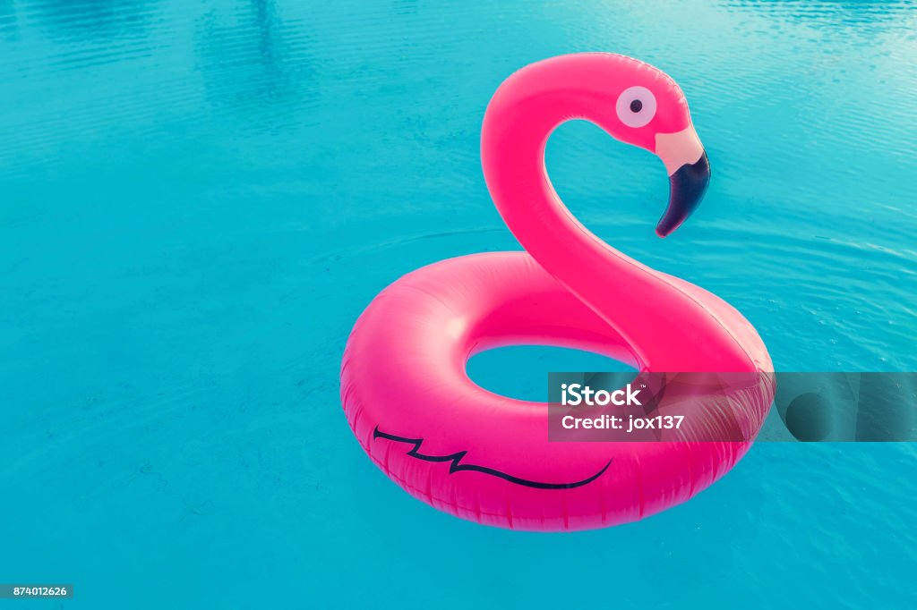 Pink flamingo - Lizenzfrei Schwimmbecken Stock-Foto