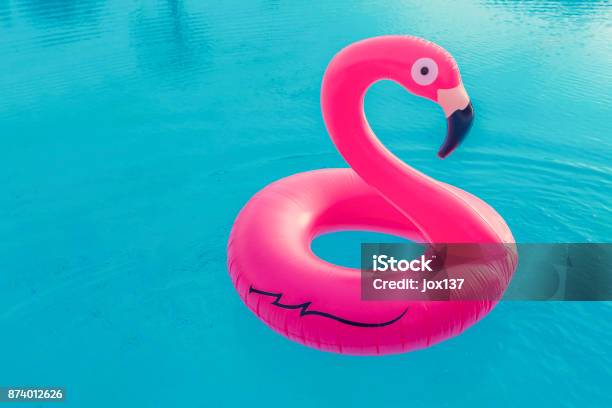 Pink Flamingo Stockfoto und mehr Bilder von Schwimmbecken - Schwimmbecken, Schwimmhilfe, Flamingo