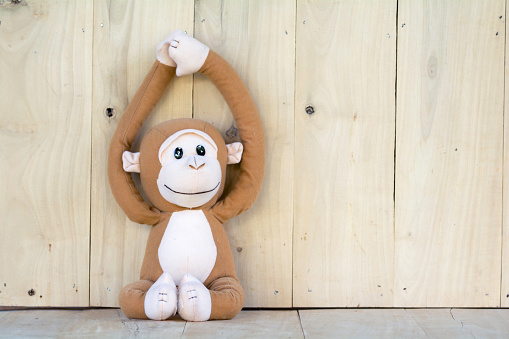 Monkey monkey sitting on a wooden floor.
