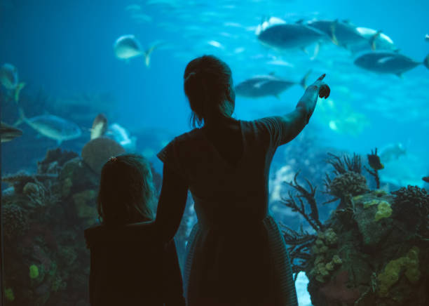 mujer y su hija en el acuario. - zoológico fotografías e imágenes de stock