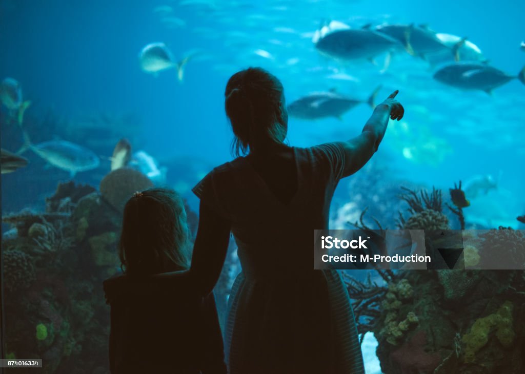 Donna e sua figlia nell'acquario. - Foto stock royalty-free di Acquarium