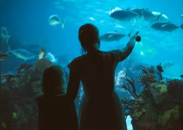 Photo of Woman and her daughter in the aquarium.